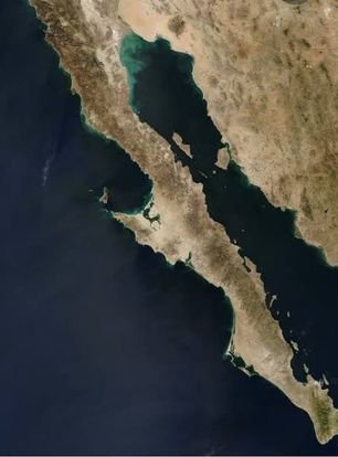 Baja California Campaña Electoral